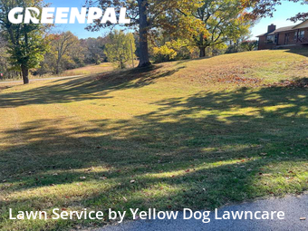 Lawn Cutting nearby Mt. Juliet, TN, 