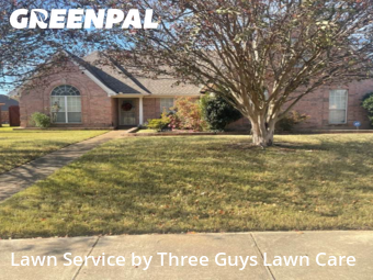 Yard Management in Olive Branch, 38654, Lawn Management by Three Guys Lawn Care, work completed in Dec , 2025