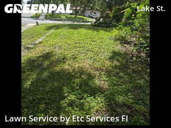 Lawn Carein Palm Harbor,34684,Lawn Service by Etc Services Fl, work completed in Nov , 2025