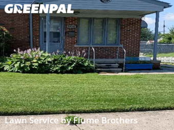 Lawn Mowing Service nearby Roseville, MI, 