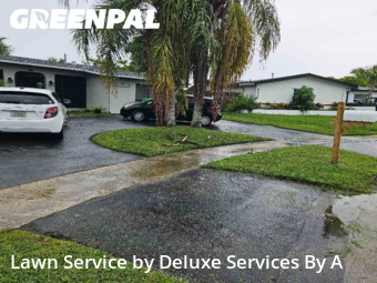 Lawn Cutin Sunrise,33322,Lawn Mowing Service by Deluxe Services By A, work completed in Dec , 2025