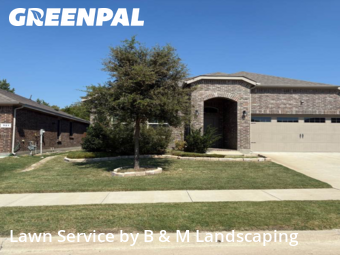 Yard Grooming in Glenn Heights, 75154, Backyard Mowing by B & M Landscaping, work completed in Nov , 2025