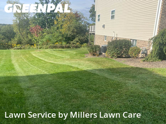 Grass Cutting nearby Beaver, PA, 