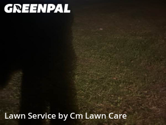 Lawn Mow nearby Ocoee, FL, 