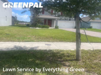 Grass Cutin Apopka,32712,Lawn Mowing Service by Everything Green , work completed in Nov , 2025
