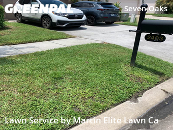 Grass Cut nearby Wesley Chapel, FL, 