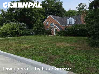 Grass Cut nearby East Lansing, MI, 