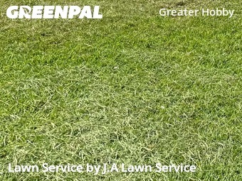 Landscaping Maintenance In Pasadena,77504,Landscaping Installation by J.A Lawn Service, work completed in Jan , 2026