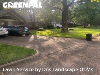 Grass Cut nearby Jackson, MS, 