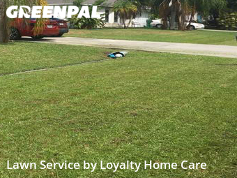 Yard Cutting nearby Palm Bay, FL, 