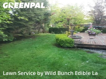 Yard Mowing nearby Renton, WA, 