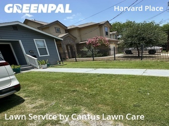 Grass Cut nearby San Antonio, TX, 