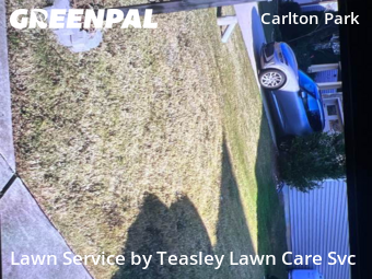 Lawn Maintenance nearby Raleigh, NC, 