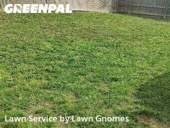 Yard Cutting nearby Killeen, TX, 