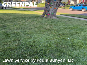 Lawn Mow nearby Papillion, NE, 