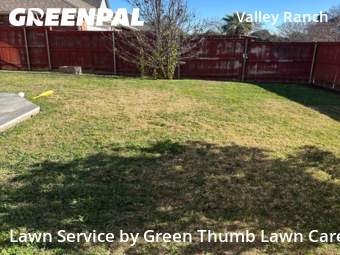 Residential Landscaping In Irving,75063,Landscapers by Green Thumb Lawn Care, work completed in Jan , 2026