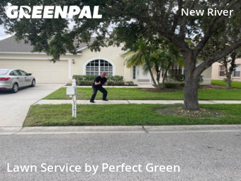 Lawn Mowing nearby Wesley Chapel, FL, 