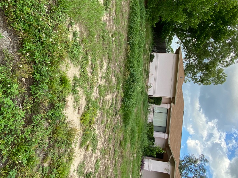 Harveys Lawncare Lawn Care Services in Spring Hill, FL