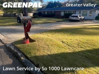 Grass Cutting nearby Decatur, GA, 