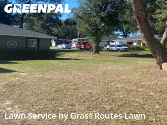 Yard Cutting in Ocala, 34472, Front Yard Mowing by Grass Routes Lawn , work completed in Nov , 2025