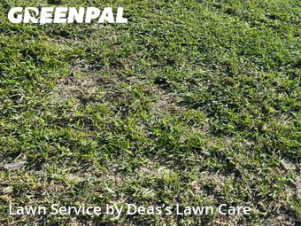 Lawn Care nearby North Miami, FL, 