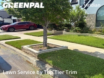 Lawn Cuttingin Arlington,76005,Lawn Maintenance by Top Tier Trim, work completed in Jul , 2026