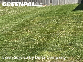 Yard Cutting nearby Bowling Green, KY, 