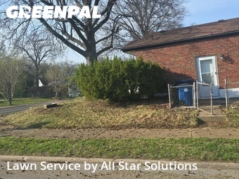 Grass Cut nearby St. Louis, IL, 