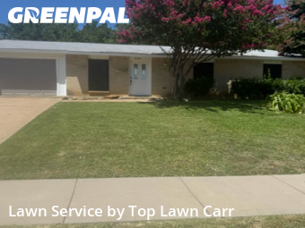 Lawn Mow nearby Grand Prairie, TX, 
