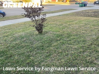 Lawn Care Service nearby Denton, TX, 
