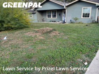 Grass Cuttingin Pasadena,77506,Lawn Cutting by Prizel Lawn Services, work completed in Dec , 2025