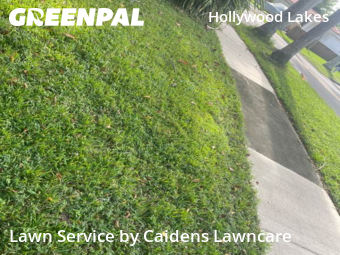 Landscaping Services In Hollywood,33019,Landscaping Renovation by Caidens Lawncare , work completed in Dec , 2025