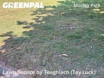 Grass Cut nearby Atlanta, GA, 