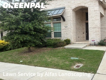 Yard Cutting nearby Irving, TX, 