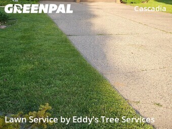 Lawn Mow nearby Grand Rapids, MI, 