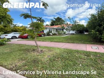 Grass Cut nearby Miami Beach, FL, 