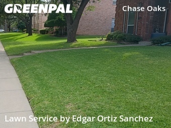 Lawn Mowing nearby Plano, TX, 