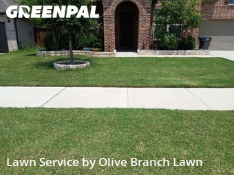 Lawn Mow nearby Fort Worth, TX, 