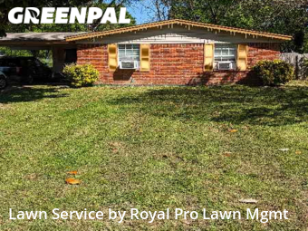 Yard Cutting nearby Southaven, MS, 