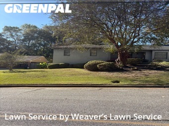 Lawn Mow nearby Columbus, GA, 