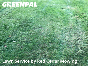 Lawn Cut nearby Lansing, MI, 