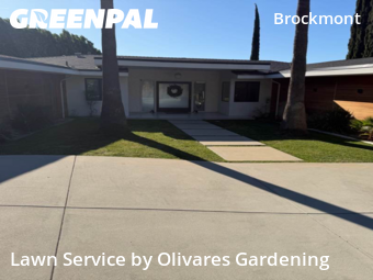 Lawn mowed in Glendale, 91202