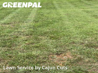 Lawn Care nearby Murfreesboro, TN, 