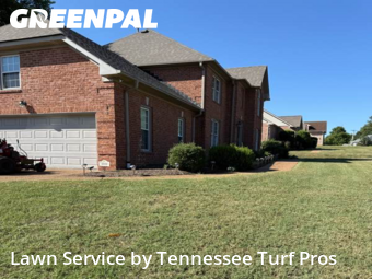 Yard Cuttingin Hendersonville,37075,Yard Mowing by Tennessee Turf Pros, work completed in Nov , 2025