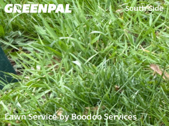 Lawn Care nearby Pittsburgh, PA, 