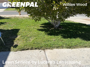 Lawn Service nearby Albuquerque, NM, 