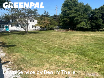 Grass Cut nearby Mentor, OH, 