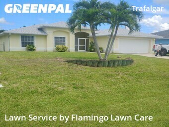 Lawn Mow nearby Cape Coral, FL, 