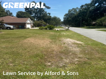 Yard Cutting nearby Gainesville, FL, 
