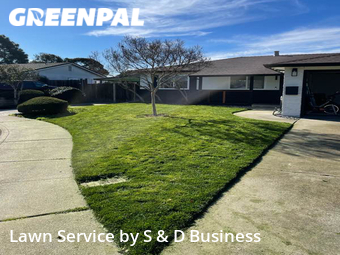 Lawn Cutting nearby Fremont, CA, 